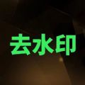 视频解析大师去水印