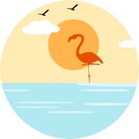 海鸟视频编辑