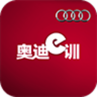 奥迪e训