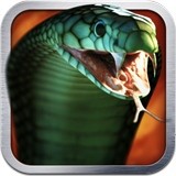 灵蛇杀手 Killer Snake