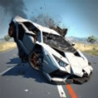 大型汽车碰撞模拟器(Car Crash Simulator)