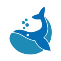 海豚电竞