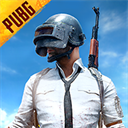pubgmlite亚服