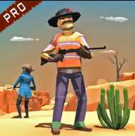 狂野西部狙击手边境