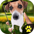 手机屏幕养狗 vv2.13