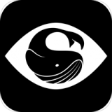 近看 vv1.4.18