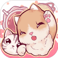 猫咪养成云猫咪