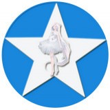 空间评赞精灵免费版