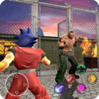 超级街头勇士 vv1.20