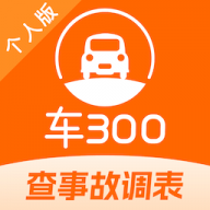 车300二手车官网版