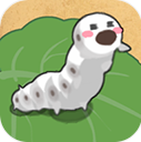 小小养蚕师 最新版
