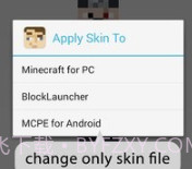 Minecraft皮肤偷取器v1.9截图