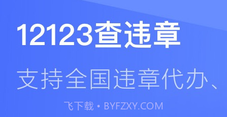 12123查违章v3.9.12截图