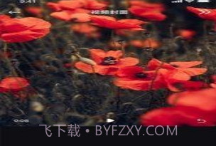 丝瓜编辑v1.0.11截图