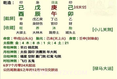 盲派八字v13.0.10截图