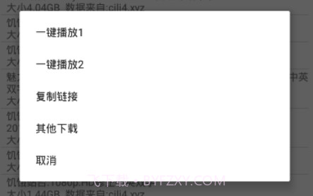 比特舟pro鐎瑰宕渧1.10截图