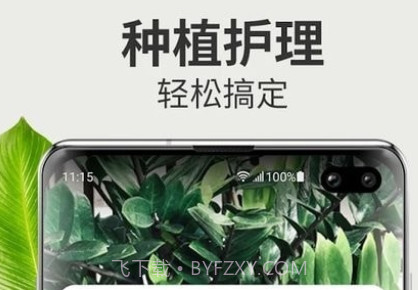 Blossom植物识别v1.1.14截图