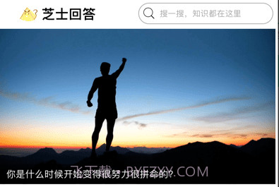 芝士问答v1.0.11截图