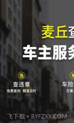 麦丘查违章v2.8.14截图