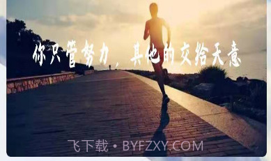 打卡番茄工作v1.0.3最新版v1.0.7截图