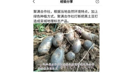 新农云企业版v1.0.12截图