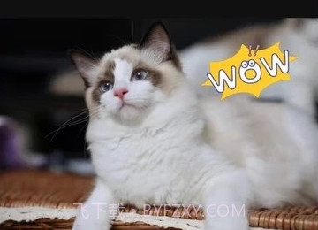 抖微视频剪辑v1.0.14截图