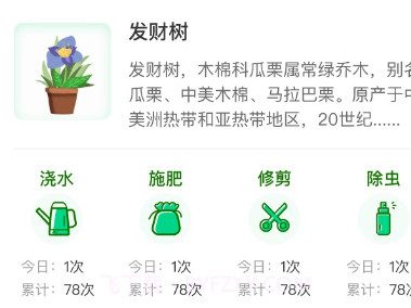 植物天气预报v1.0.9截图