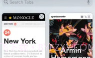Safari BrowserV1.7截图