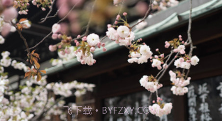 每日文摘v1.0.12截图