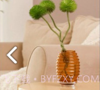 实时镜像相机v2020.1.6截图