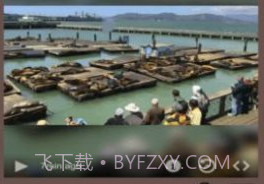Live Camera Viewer软件v1.7截图