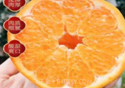 家乡商城v1.9截图