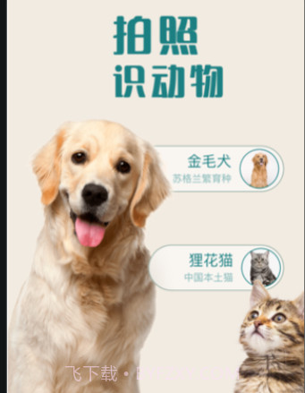 花卉识别v1.0.12截图