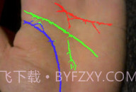 免费拍照看手相算命V1.0.8截图