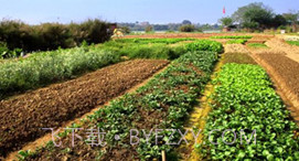 坤典智慧农场v3.0.11截图