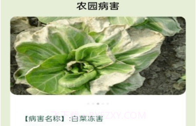 田园手册v1.0.12截图