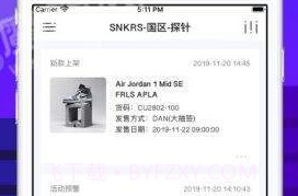 探针营v1.0.8截图