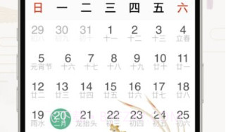 好运日历大字版v1.12截图