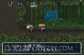 不可思议的迷宫（风来的西林）1.11截图