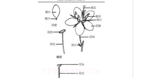 野外植物识别手册v1.0.13截图