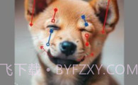 DragGAN AIV1.8截图