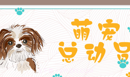 铲屎官之家v1.9截图