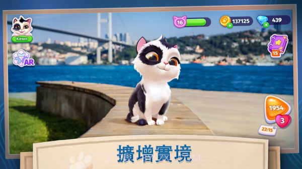 我的可爱猫咪1.0.7截图