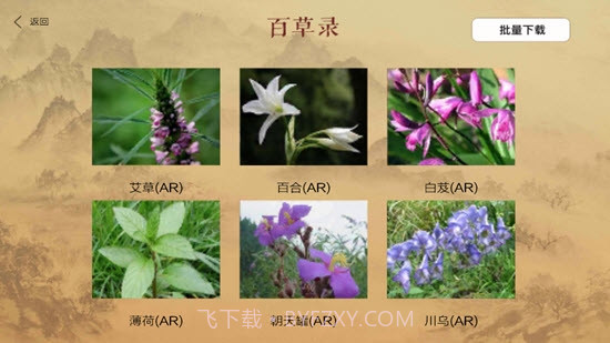 百草录1.13截图