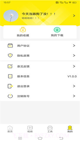 白狐壁纸视频1.0.8截图