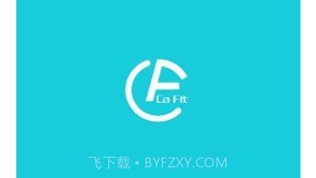 Ca Fitv1.1.0.12截图