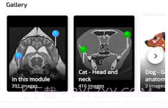 vet Anatomyv3.1.0v3.0.6截图