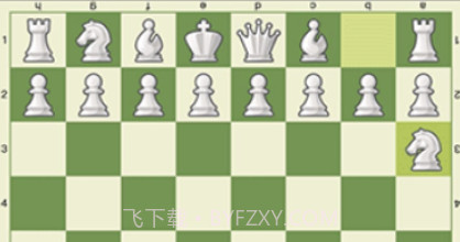 简单国际象棋v1.10截图