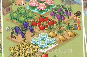 桃源人家v1.0.19截图