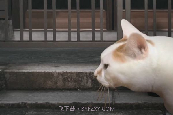 猫的一天怪奇谭（全剧情存档）完整版1.4.12截图